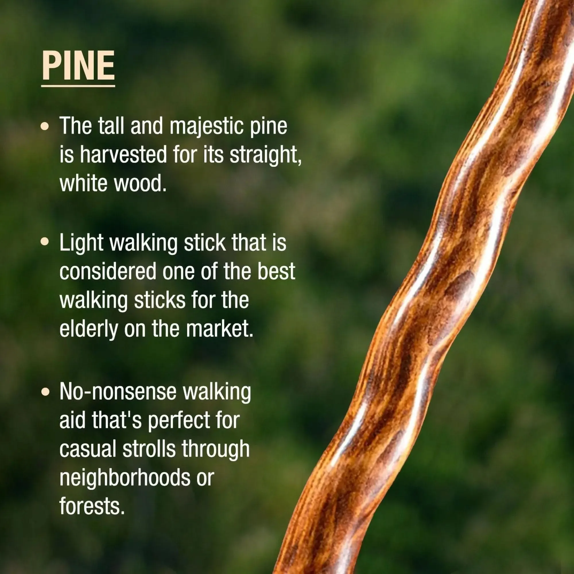 Brazos™ Twisted Pine Handcrafted Walking Stick, 55-Inch