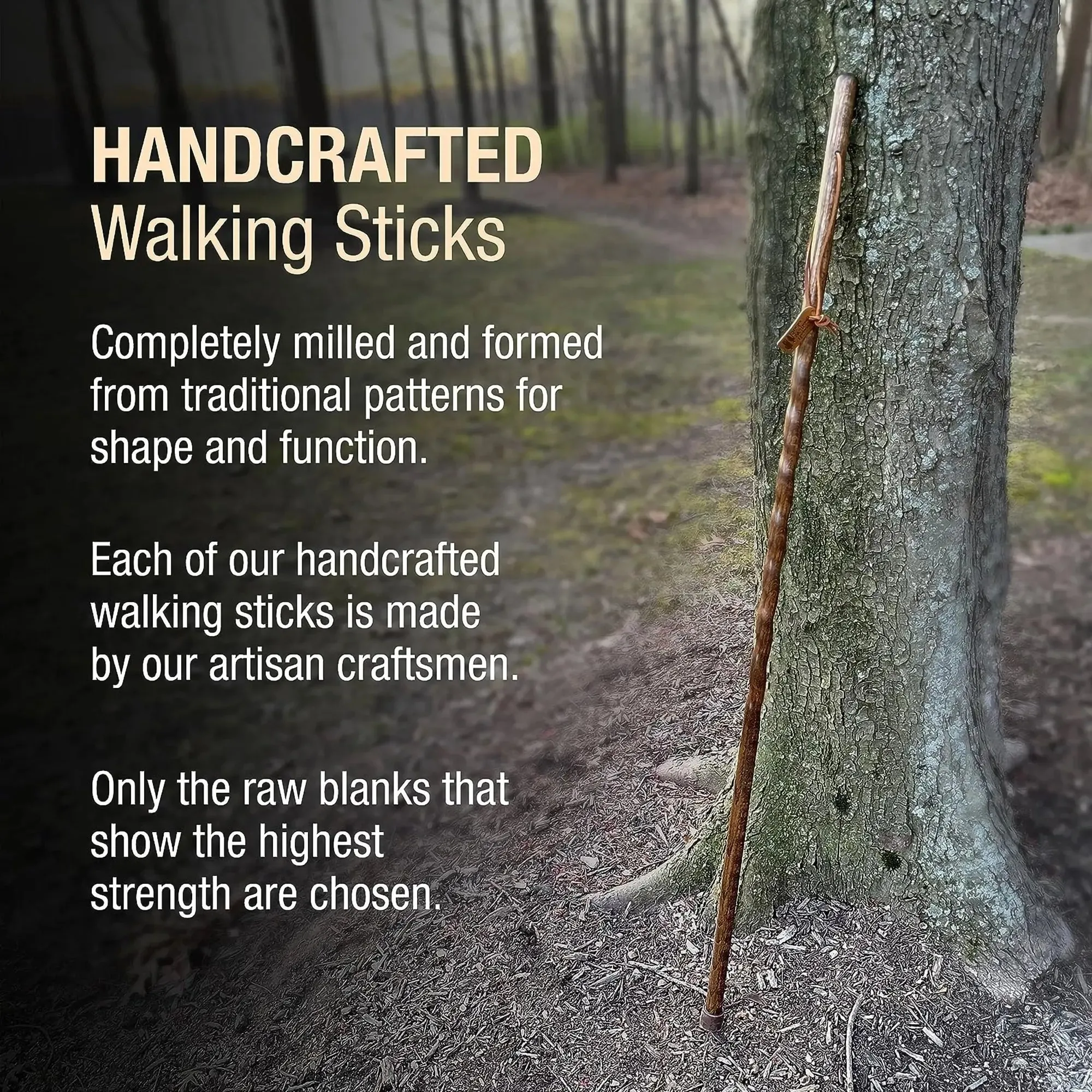 Brazos™ Twisted Pine Handcrafted Walking Stick, 55-Inch